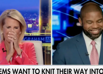 ‘Dumbest Thing I’ve Ever Seen’: Donalds, Ingraham Lose It Over Democrats Asking Crowd To Throw ‘Balls Of Yarn’