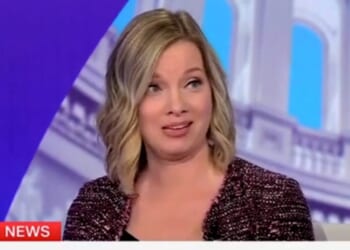 ‘Suddenly, Republicans’ Lead Is Gone’: GOP Pollster Describes How Elon Musk’s America Party Changes Midterms