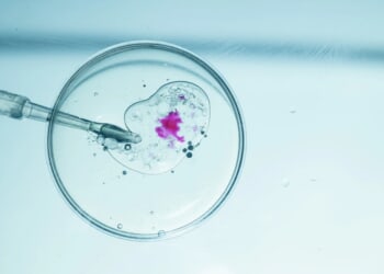Report: Trump administration may walk back IVF insurance mandate plan
