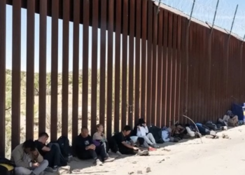 Immigration chief reveals how amnesty program for kids has been exploited by criminal adults for years