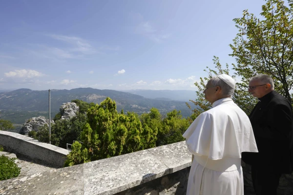 Pope Leo takes in the view. Credit: Francesco Sforza/Vatican Media