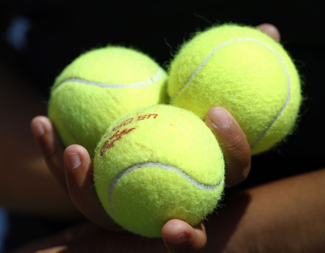 Polish CEO’s Infamy Meets Tennis Star’s Kindness at US Open – Twitchy