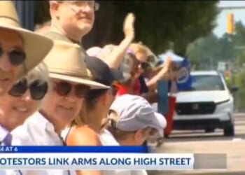 A human chain of Boomers is the best Dems can do? ‘That’s a lot of elderly white crybabies’