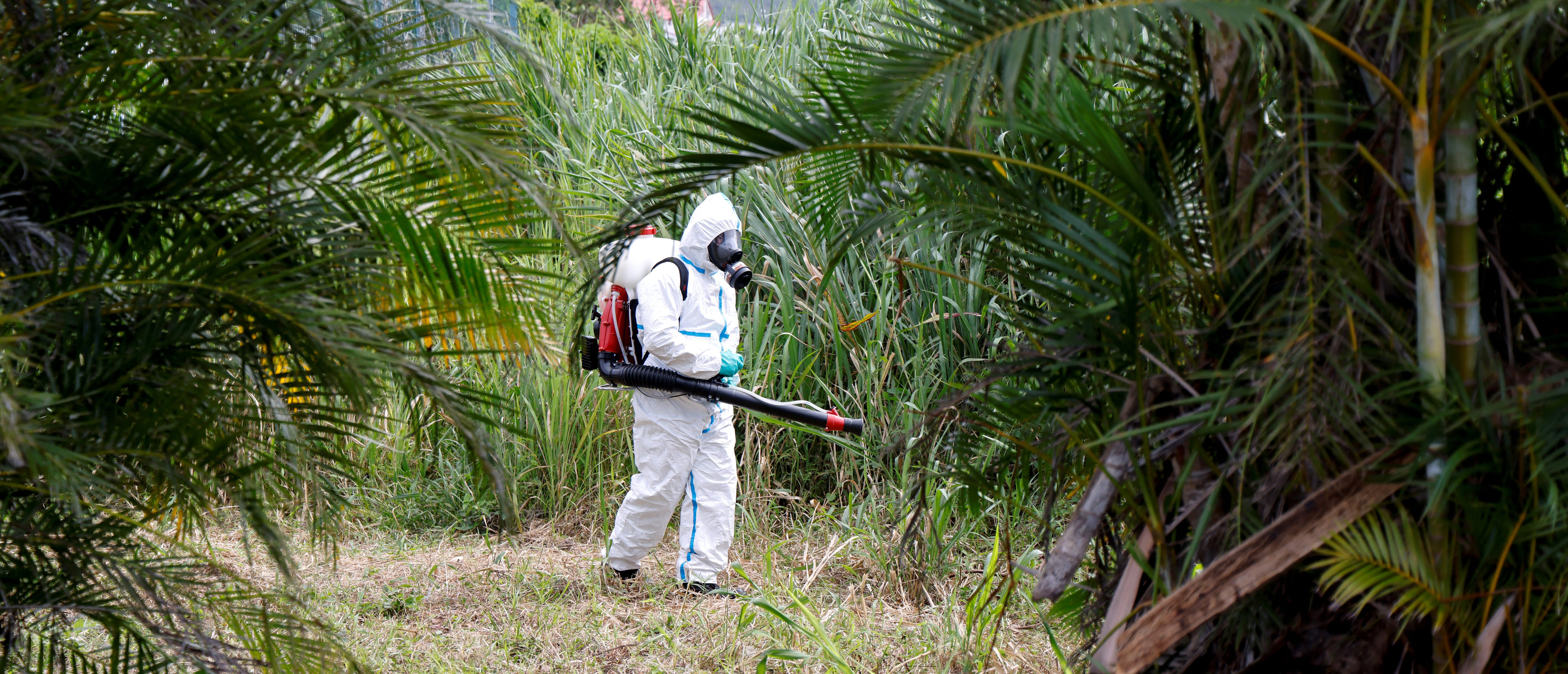 An ARS vector control agent operates as part of the fight against the Chikungunya pandemic by mosquitoes in Saint-Benoit on the French overseas island of La Reunion on April 22, 2025. (Photo by LUDOVIC MARIN/AFP via Getty Images)