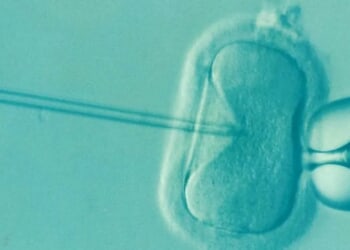 Baby Born From 30-Year-Old Embryo Sets Record