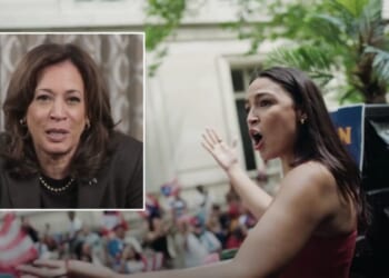 Ex-advisor to Clinton explains why AOC could take the White House in 2028, and Kamala Harris wont
