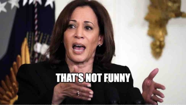 Karma’s a B-Word (So Is She)! Main Reason the DNC Is BROKE Is Just TOO Hilariously Perfect for Words – Twitchy
