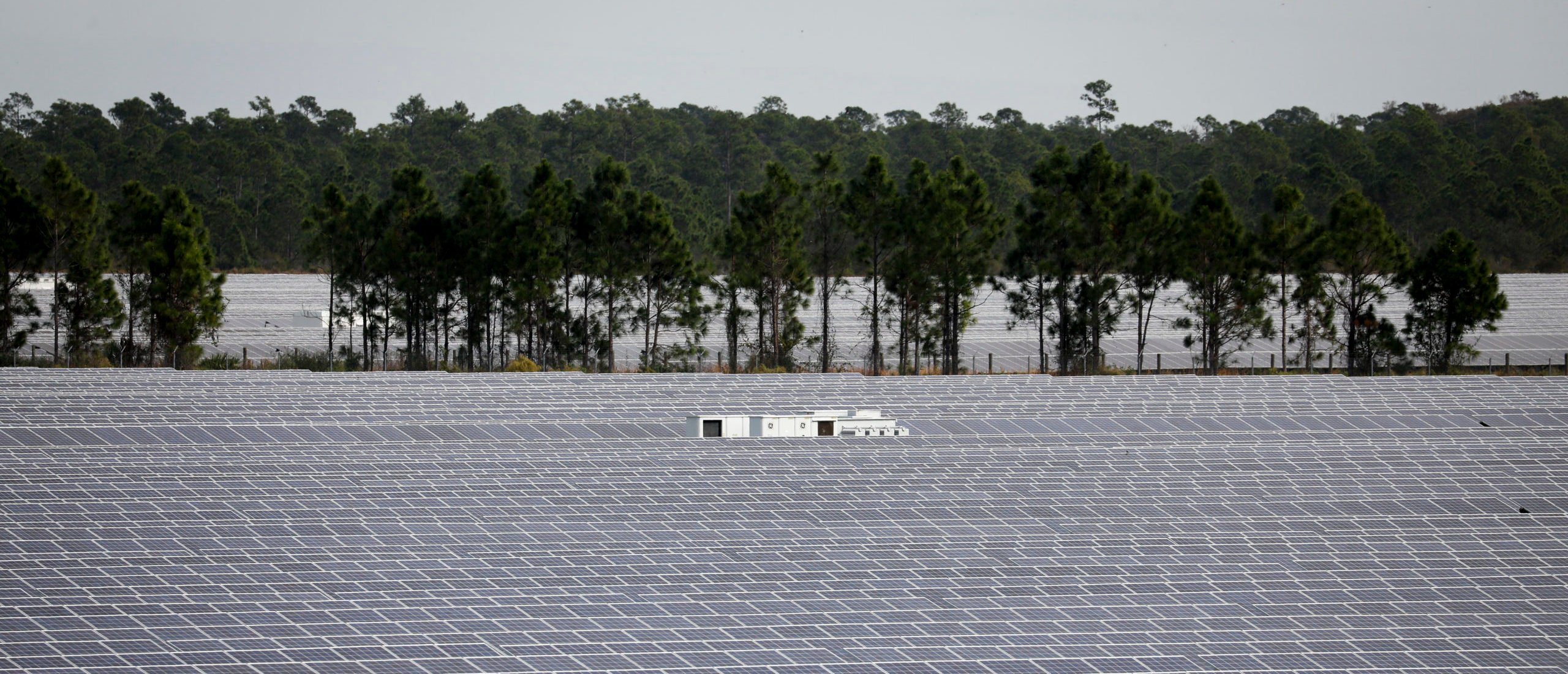 Solar panels in a solar farm operated by Florida Power & Light in Babcock Ranch, Florida, on December 5, 2023. (Photo by MARCO BELLO/AFP via Getty Images)