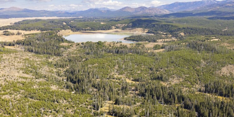 Former national park superintendents urging Trump administration to close parks in case of shutdown