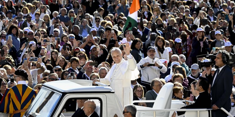 Pope Leo chooses the theme for the 34th World Day of the Sick