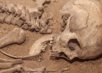 Skull found near San Antonio plumbing business identified, manner and time of death still unknown