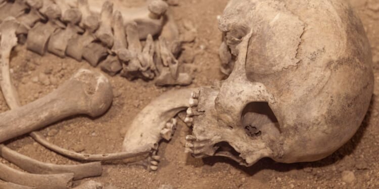 Skull found near San Antonio plumbing business identified, manner and time of death still unknown