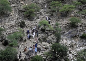 Taliban release Amir Amiri, a U.S. citizen, from Afghan prison