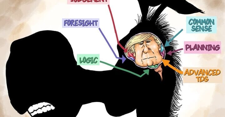 Best political cartoons: Advanced TDS