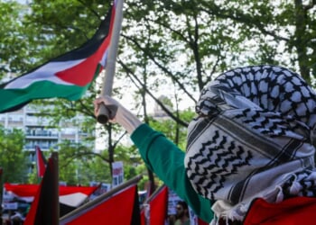 Harvard Blamed Jewish Victim Assaulted At Campus Protest, House Committee Alleges