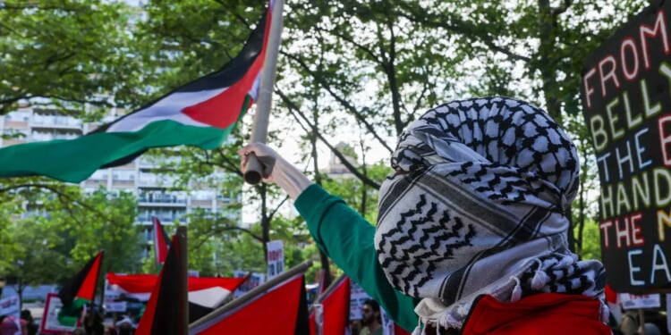 Harvard Blamed Jewish Victim Assaulted At Campus Protest, House Committee Alleges