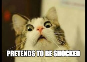 And He's Free ... Free Fallin'! Jimmy Kimmel's Ratings Take the Most Predictable Plunge Ever – Twitchy