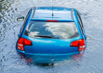 Anti-ICE Karen Accidentally Deports Her Car Into a Lake While Yelling at Agents [WATCH]