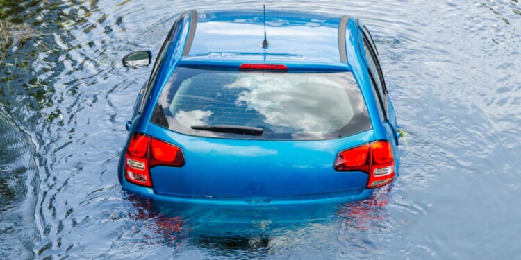 Anti-ICE Karen Accidentally Deports Her Car Into a Lake While Yelling at Agents [WATCH]