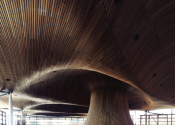 Calum Davies: I'm standing for a seat in the Senedd to ensure it does not get any bigger