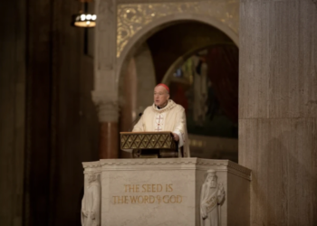 Cardinal Robert McElroy calls for solidarity with immigrants lacking legal status