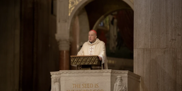 Cardinal Robert McElroy calls for solidarity with immigrants lacking legal status