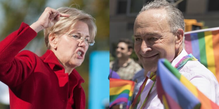 Chuck Schumer and Elizabeth Warren's Own Words Come Back to Haunt Them as Shutdown Looms [WATCH]