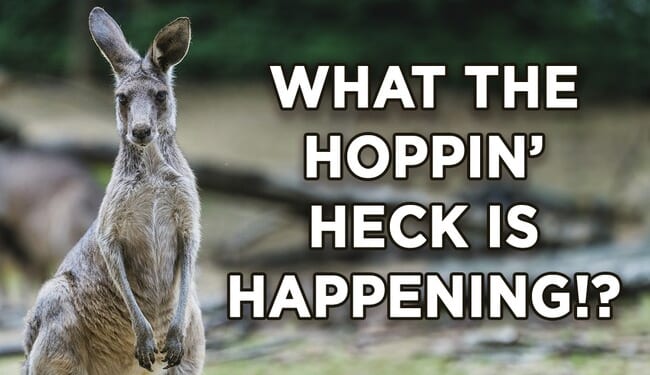 ICE Nabs Illegal Immigrant Supt. Packing Heat and a Deportation Order – Twitchy