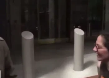 Jeanine Pirro Wants Prison Time For Woman Who Allegedly Spat At Ed Martin On Live TV