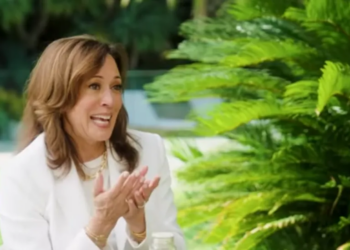 Kamala Harris Claims Her Rally Crowds Would ‘Pass’ Babies Around In Bizarre Word Salad