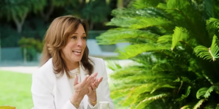 Kamala Harris Claims Her Rally Crowds Would ‘Pass’ Babies Around In Bizarre Word Salad