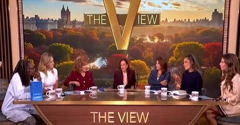 Kamala Harris describes ‘damage’ done to campaign following her infamous answer on ‘The View’