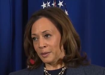 Kamala says Trump should blame his own ‘lax gun laws’ for second assassination attempt