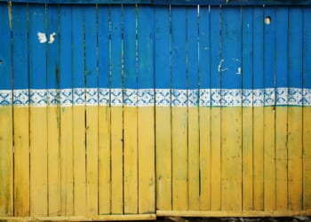 Lord Ashcroft: Why two very different but equally clever men may hold the key to war-torn Ukraine’s future