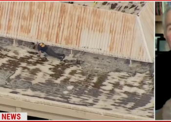 MSNBC Analyst Claims ‘You Can’t Just Assume’ Shooter’s Motive Despite ‘Anti-ICE’ Casings