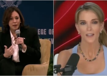 Megyn Kelly destroys Kamala Harris’ bizarre claim of babies being passed around at her rallies