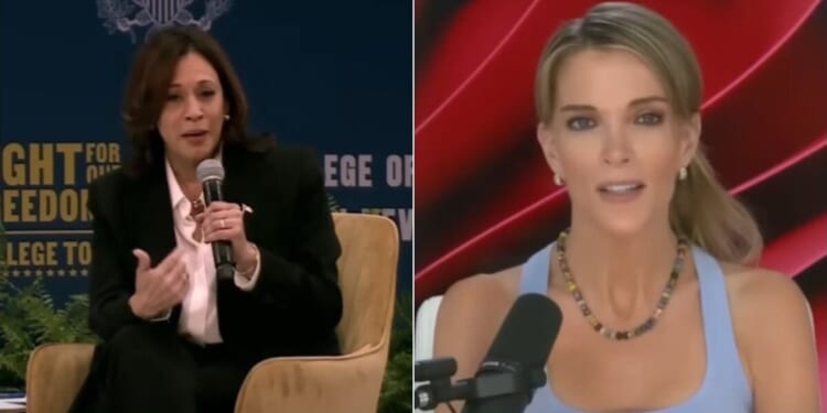 Megyn Kelly destroys Kamala Harris’ bizarre claim of babies being passed around at her rallies