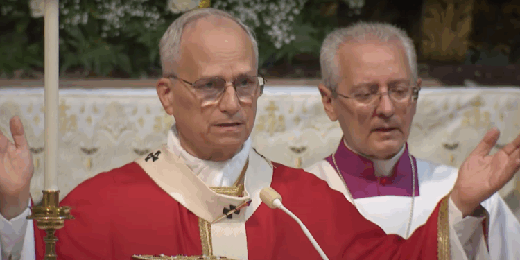 Pope Leo Defines Himself: A Man of Faith, a Listener, a Decider — and an American | The American Spectator