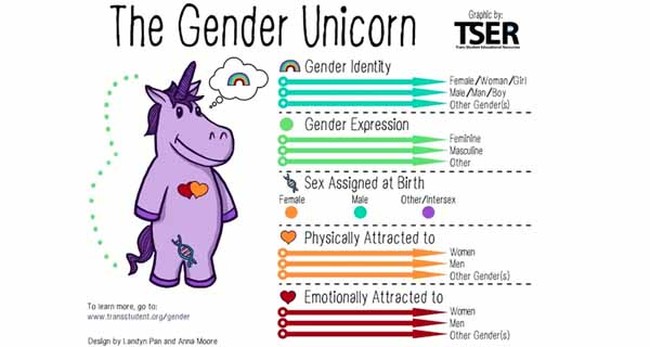 Prof Teaching Transgenderism Unimpressed By Efforts to Stop Her From Teaching the ‘Biological Truth’ – Twitchy