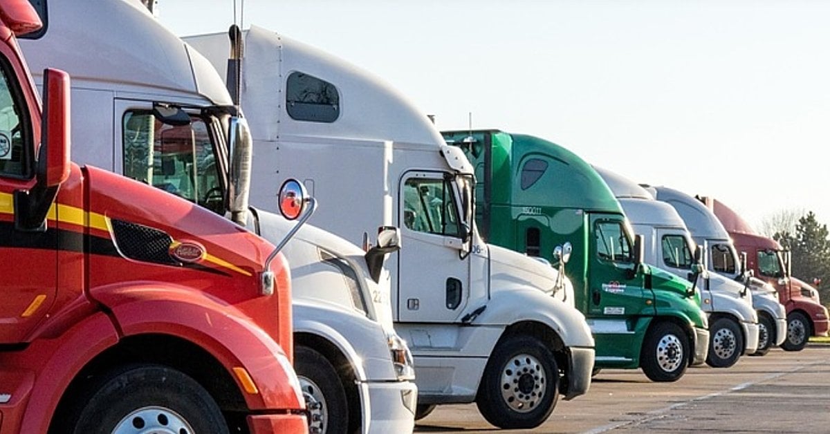 US truckers plead for help as foreign drivers use illegal gimmick to rake in millions