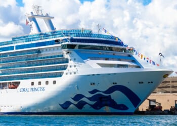 Viral Cruise Footage Shows Passenger Trapped in Massive Ocean Slide [WATCH]