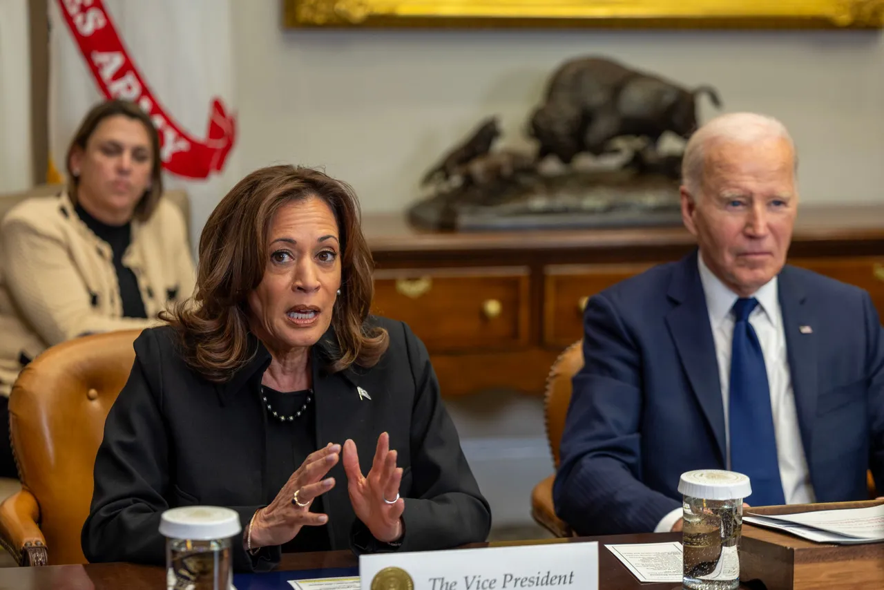 WASHINGTON, DC - JANUARY 09: US Vice President Kamala Harris and U.S. President Joe Biden speak to the media on the federal response to the Los Angeles wildfires at the White House on January 09, 2025 in Washington, DC. (Photo by Tasos Katopodis/Getty Images)
