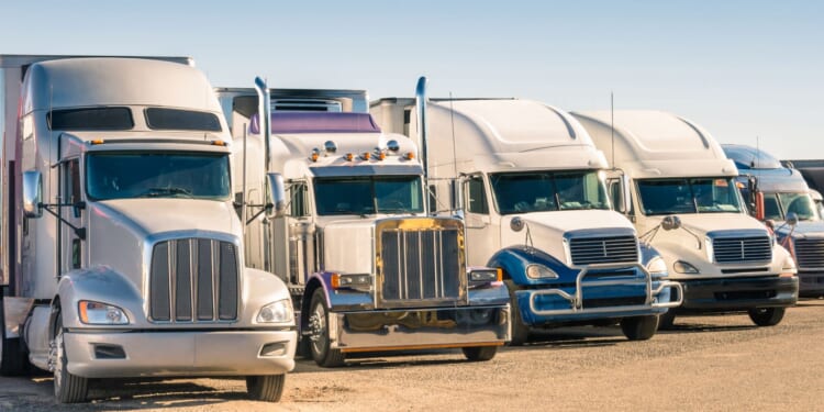 146 Illegal Alien Truck Drivers Arrested in Indiana During Operation Midway Blitz [WATCH]