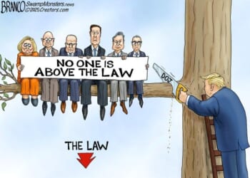 Best political cartoons: No one is above the law