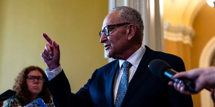 Schumer’s Shutdown Another ‘Desperate’ Attempt To Fend Off Upstart Far Left, Analysts Say