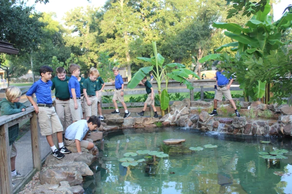 Boys look for toads in a pond during recess. Credit: Courtesy of Western Academy