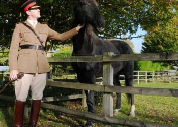 British army horse that galloped through London after being spooked gets well-deserved retirement