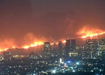 Arsonist burns down climate hoax