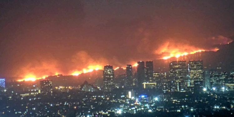 Arsonist burns down climate hoax