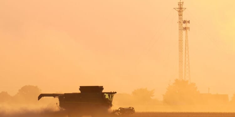 Trump says China's boycott of soybeans is an 'economically hostile act'